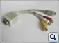 Click here for enlarging image